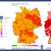 DWD Sonnenfruehling