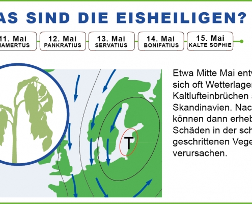 Eisheilige machen kaum noch Angst 29 Das sind die eisheilgen DWD