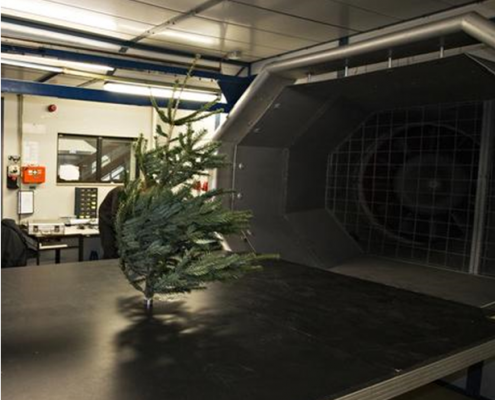 Ein Weihnachtsbaum im Windkanal 16 DWD Ein Weihnachtsbaum im Windkanal