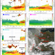 DWD Saharastaub Erkennung mittels Ceilometer