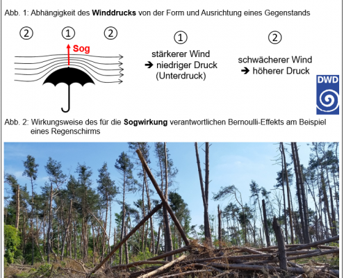Die zerstörerische Kraft des Winds 1 DWD Die zerstoererische Kraft des Winds