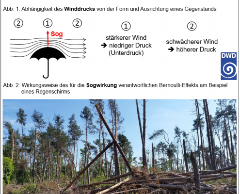 DWD Die zerstoererische Kraft des Winds