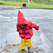 DWD Eine kleine Hommage auf den Regen