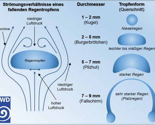 Vom Himmel fallende Burgerbrötchen, Pilzhüte und Fallschirme 10 DWD Vom Himmel fallende Burgerbroetchen Pilzhuete und Fallschirme