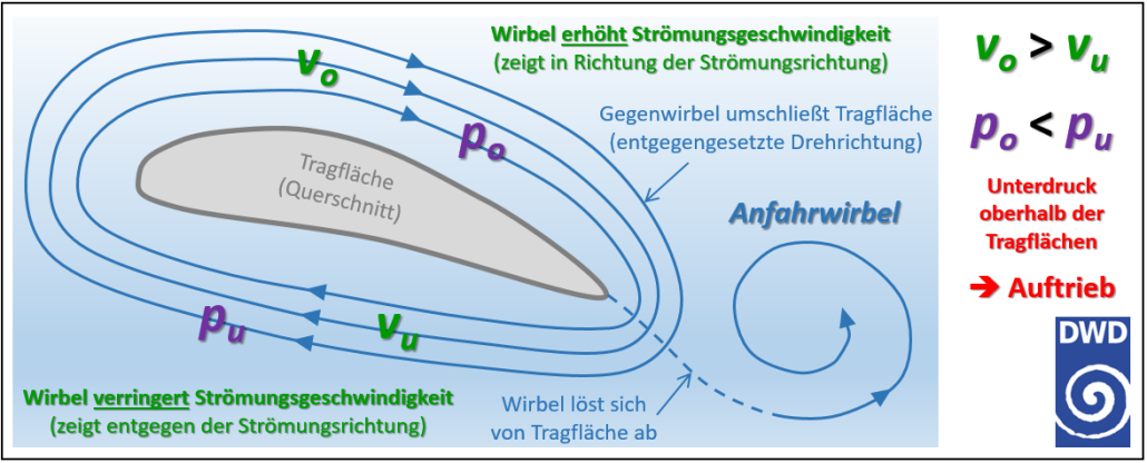 Warum Fliegen Mücken Immer Ans Ohr Warum können Flugzeuge fliegen?