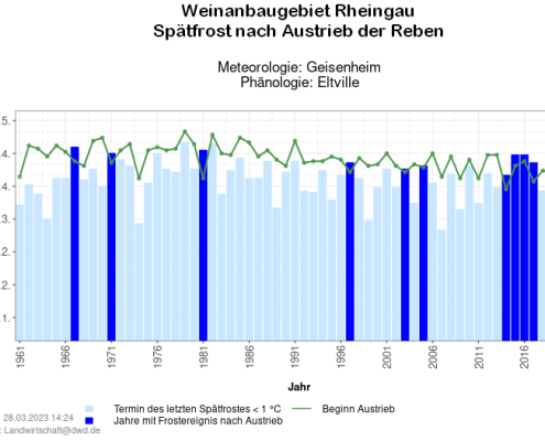 Phänologie im Klimawandel - Teil 2: Veränderungen des Schadfrostrisikos 24 DWD Phaenologie im Klimawandel Teil 2 Veraenderungen des Schadfrostrisikos 1