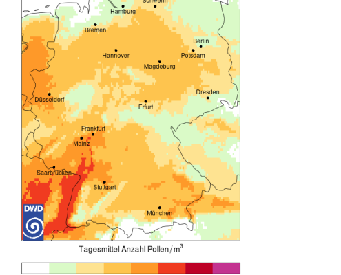 DWD Sie fliegen wieder 2
