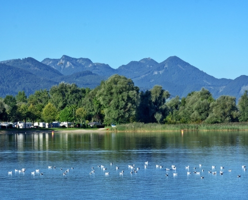 Camping in Deutschland: Wo gibt es die schönsten Campingplätze in Deutschland?