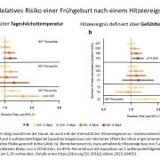 DWD Zusammenhang zwischen Hitze und Fruehgeburten
