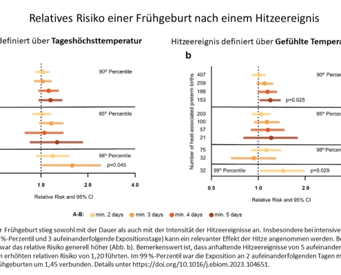 DWD Zusammenhang zwischen Hitze und Fruehgeburten