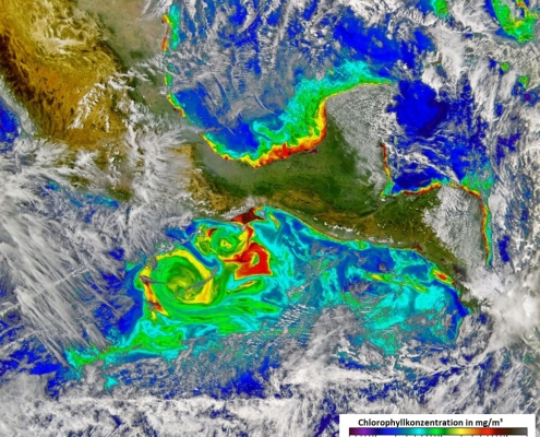 DWD Tehuano Winde regen das Algenwachstum an