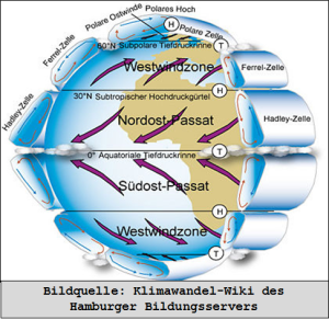 DWD Die kalte und oftmals neblige Bucht von San Francisco und die Verbindung zur El Nino Southern Oscillation 1