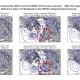 DWD Chaos in der Wettervorhersage 1