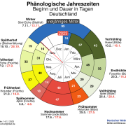 DWD Die Blaetter machen den Abgang