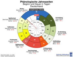 DWD Die Blaetter machen den Abgang