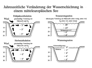 DWD Eisdecke betreten. Wie entscheiden ob es gefahrlos ist