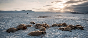 DWD Extremwetter abseits des Scheinwerferlichts 1