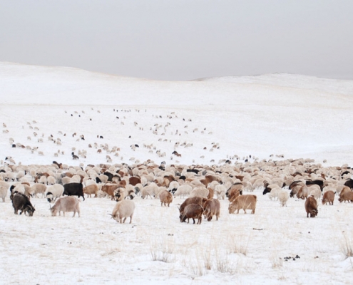 Extremwetter abseits des Scheinwerferlichts 4 DWD Extremwetter abseits des Scheinwerferlichts