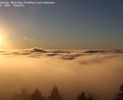 Phänomen Nebel - Teil 1: Der Strahlungsnebel 5 DWD Phaenomen Nebel Teil 1 Der Strahlungsnebel
