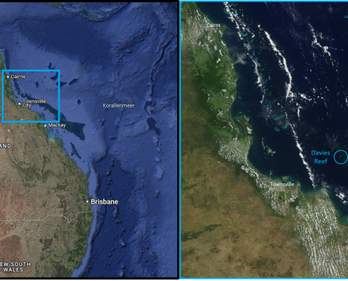 Massenbleiche am Great Barrier Reef wird stark von lokalen Wetterbedingungen beeinflusst 24 DWD Massenbleiche am Great Barrier Reef wird stark von lokalen Wetterbedingungen beeinflusst