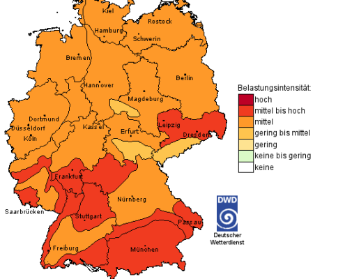 Pollenflug teil 1