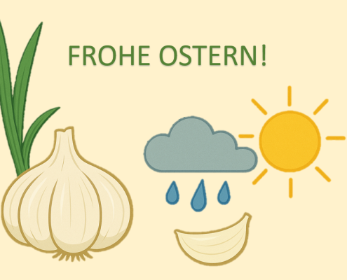 Knoblauch Der Wetterfluesterer im Beet teil 1
