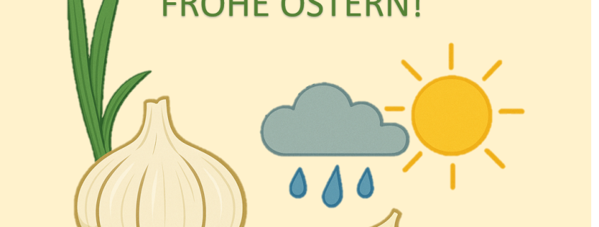 Knoblauch Der Wetterfluesterer im Beet teil 1