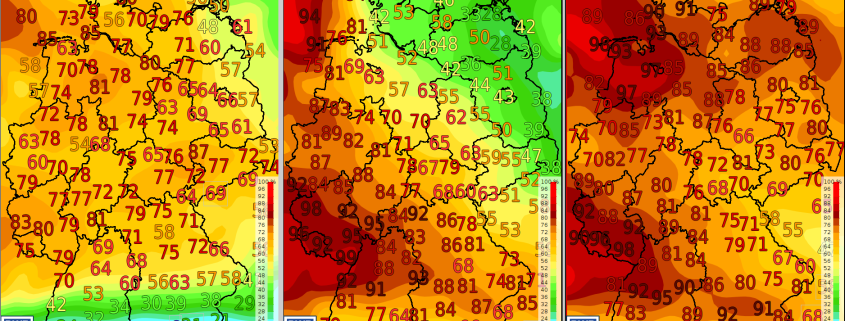 Sonne als Medizin teil 2