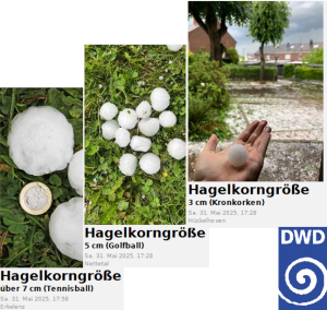 Gewitternachlese 5 Gewitternachlese teil 2