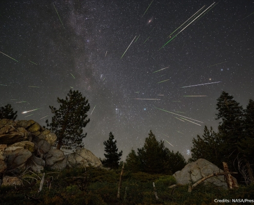 Perseiden 1