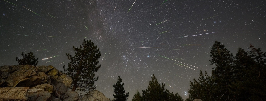 Perseiden 1