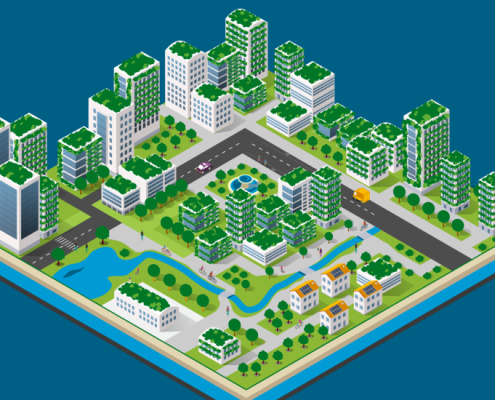 Von Schwaemmen und Staedten