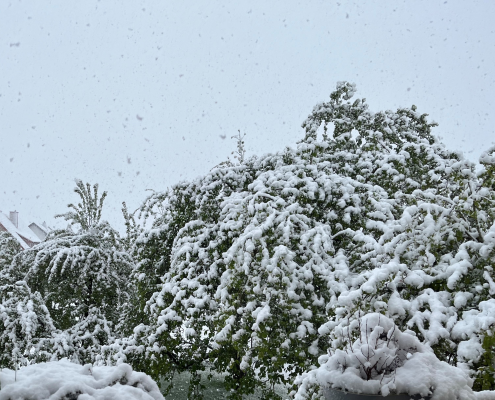 Das Erntejahr 2025 und seine meteorologischen Hintergründe 26 Das Erntejahr 2025 und seine meteorologischen Hintergruende 1