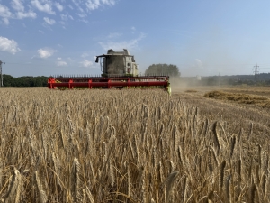 Das Erntejahr 2025 und seine meteorologischen Hintergruende 2