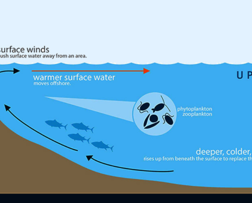 Golf von Panama: Saisonale Meeresströmung fast vollständig ausgeblieben 30 Golf von Panama