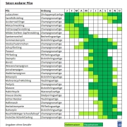Pilz Saison erreicht ihren Hoehepunkt 1