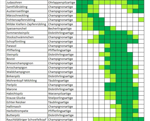 Pilz-Saison erreicht ihren Höhepunkt 25 Pilz Saison erreicht ihren Hoehepunkt 1
