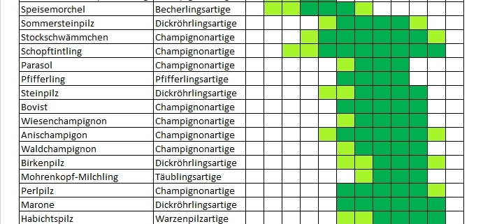 Pilz Saison erreicht ihren Hoehepunkt 1