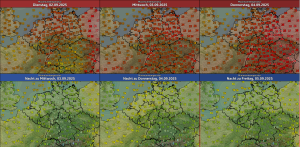 Uebergang in den Herbst 2