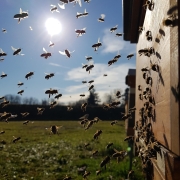 Vorbereitung ist die halbe Miete