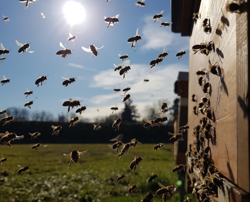 Vorbereitung ist die halbe Miete 23 Vorbereitung ist die halbe Miete