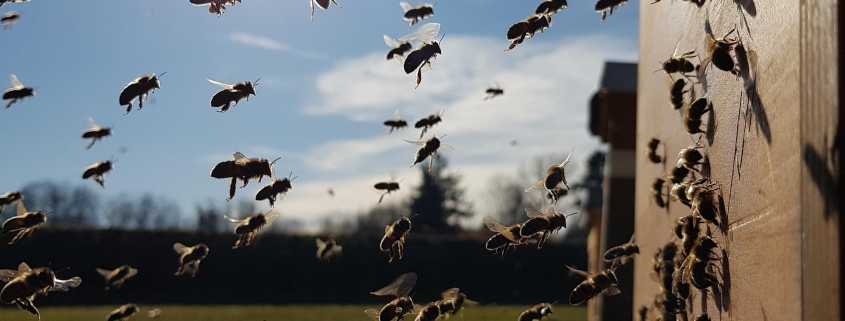 Vorbereitung ist die halbe Miete 1 Vorbereitung ist die halbe Miete