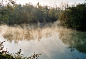 Mystische Herbststimmung an den heimischen Seen 1