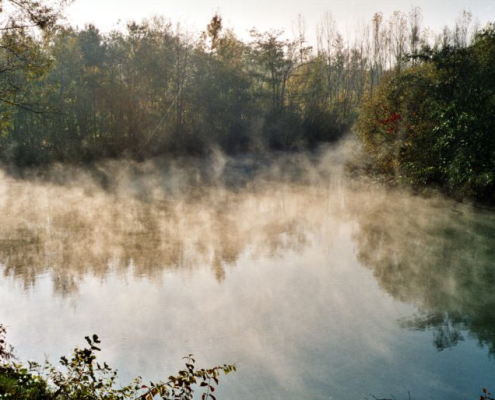 Mystische Herbststimmung an den heimischen Seen 7 Mystische Herbststimmung an den heimischen Seen 1