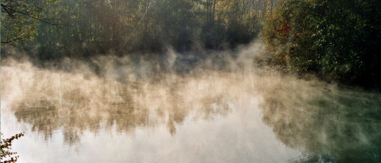 Mystische Herbststimmung an den heimischen Seen 1