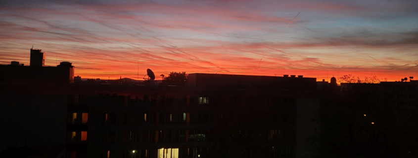 Grau und gruselig 1 31 Bild1