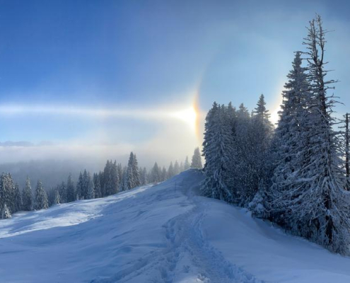 Eisnebelhalos ein himmlisches Phaenomen auf Erden
