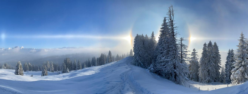 Eisnebelhalos ein himmlisches Phaenomen auf Erden