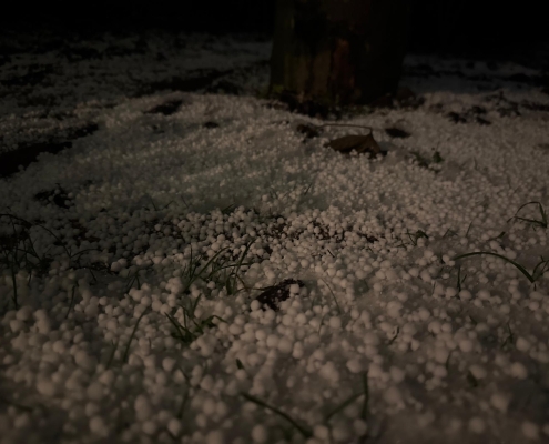 Vollkorn oder Graupel