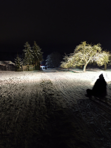 Der Winter 2025/2026 – persönliche Erlebnisse und eine Einschätzung 1 Der Winter 2025 2026 – persoenliche Erlebnisse und eine Einschaetzung 1